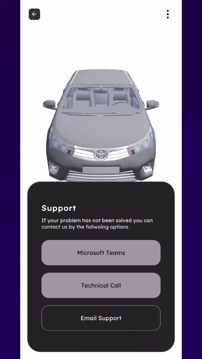 Support options — Microsoft Teams meeting, technical call, or email